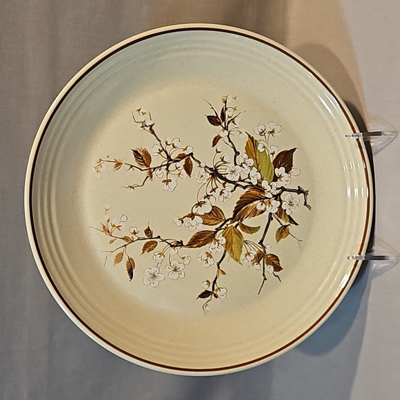 NEW Royal Doulton Wild Cherry 1038 Dinner Plate Lambethware - Picture 1 of 6